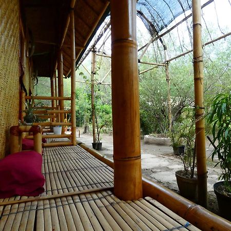 Uncle Hippie'S Dream Hostel กิลิเมโน ภายนอก รูปภาพ