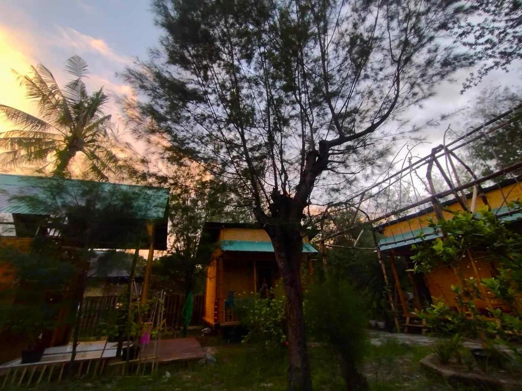 Uncle Hippie'S Dream Hostel กิลิเมโน ภายนอก รูปภาพ