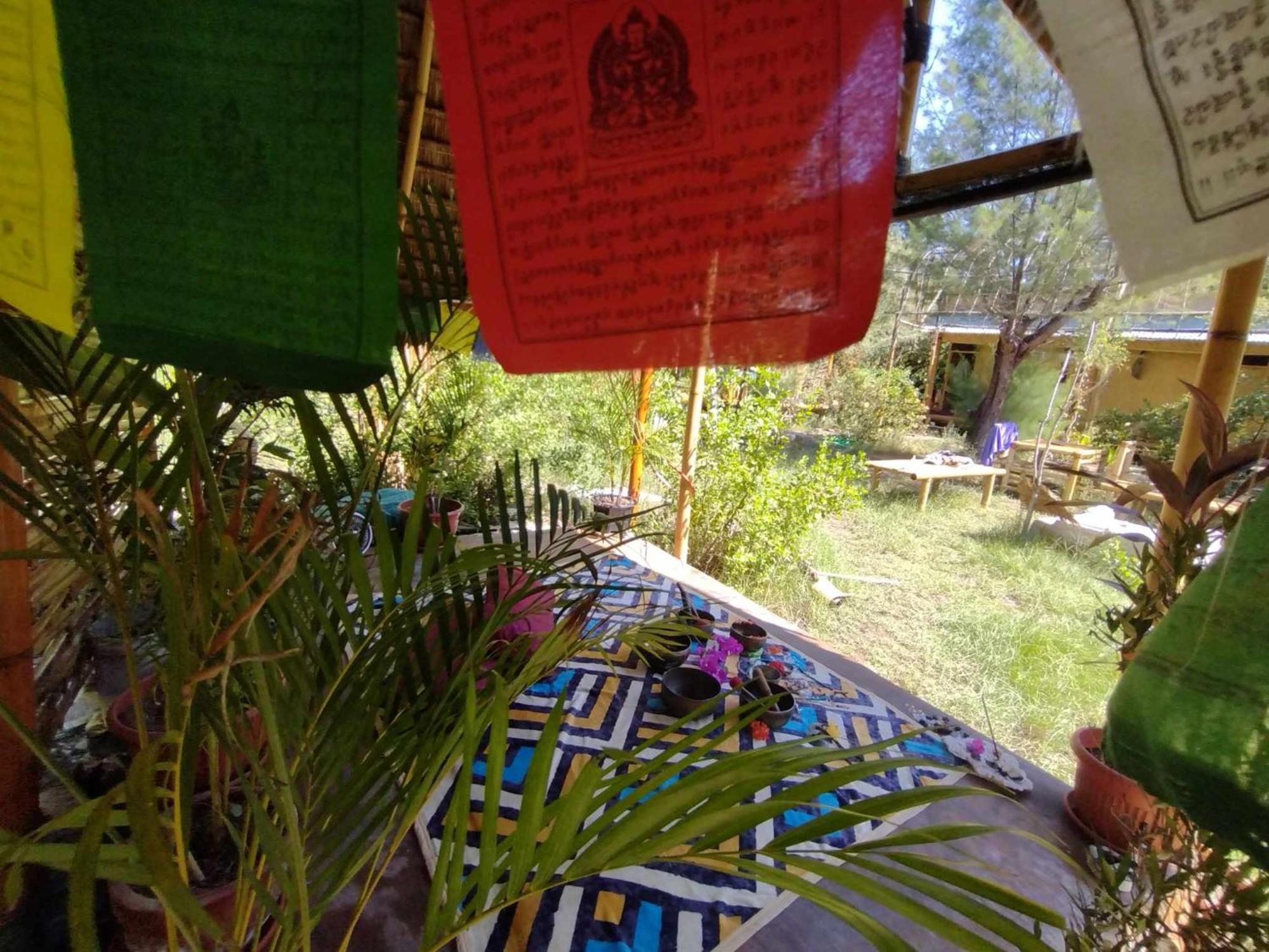 Uncle Hippie'S Dream Hostel กิลิเมโน ภายนอก รูปภาพ