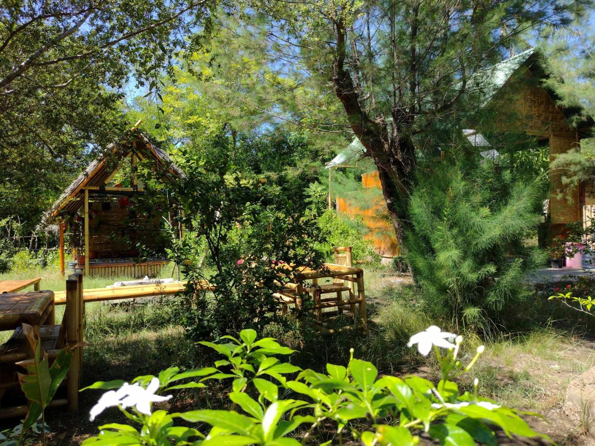 Uncle Hippie'S Dream Hostel กิลิเมโน ภายนอก รูปภาพ
