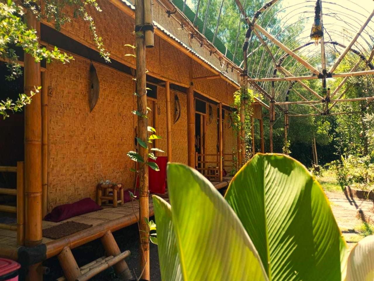 Uncle Hippie'S Dream Hostel กิลิเมโน ภายนอก รูปภาพ