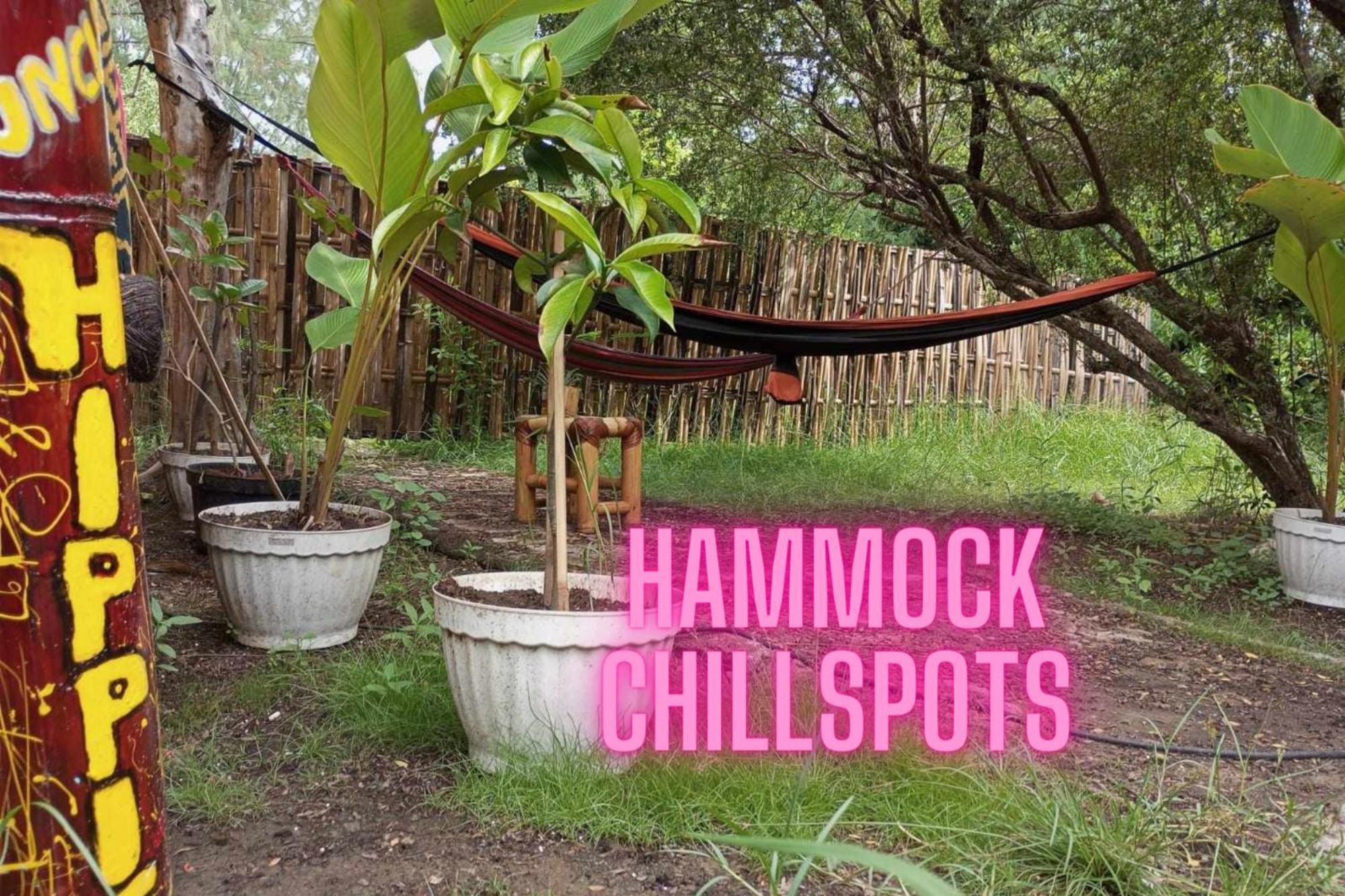 Uncle Hippie'S Dream Hostel กิลิเมโน ภายนอก รูปภาพ