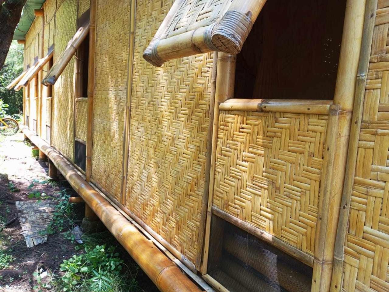 Uncle Hippie'S Dream Hostel กิลิเมโน ภายนอก รูปภาพ