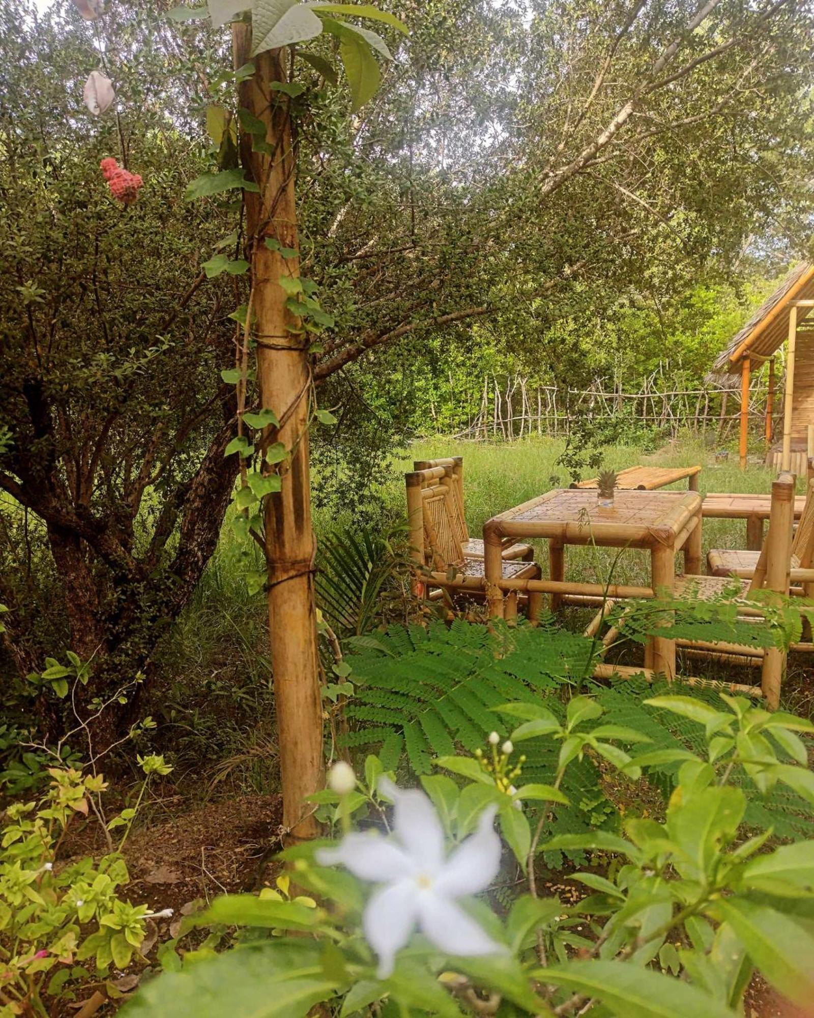 Uncle Hippie'S Dream Hostel กิลิเมโน ภายนอก รูปภาพ