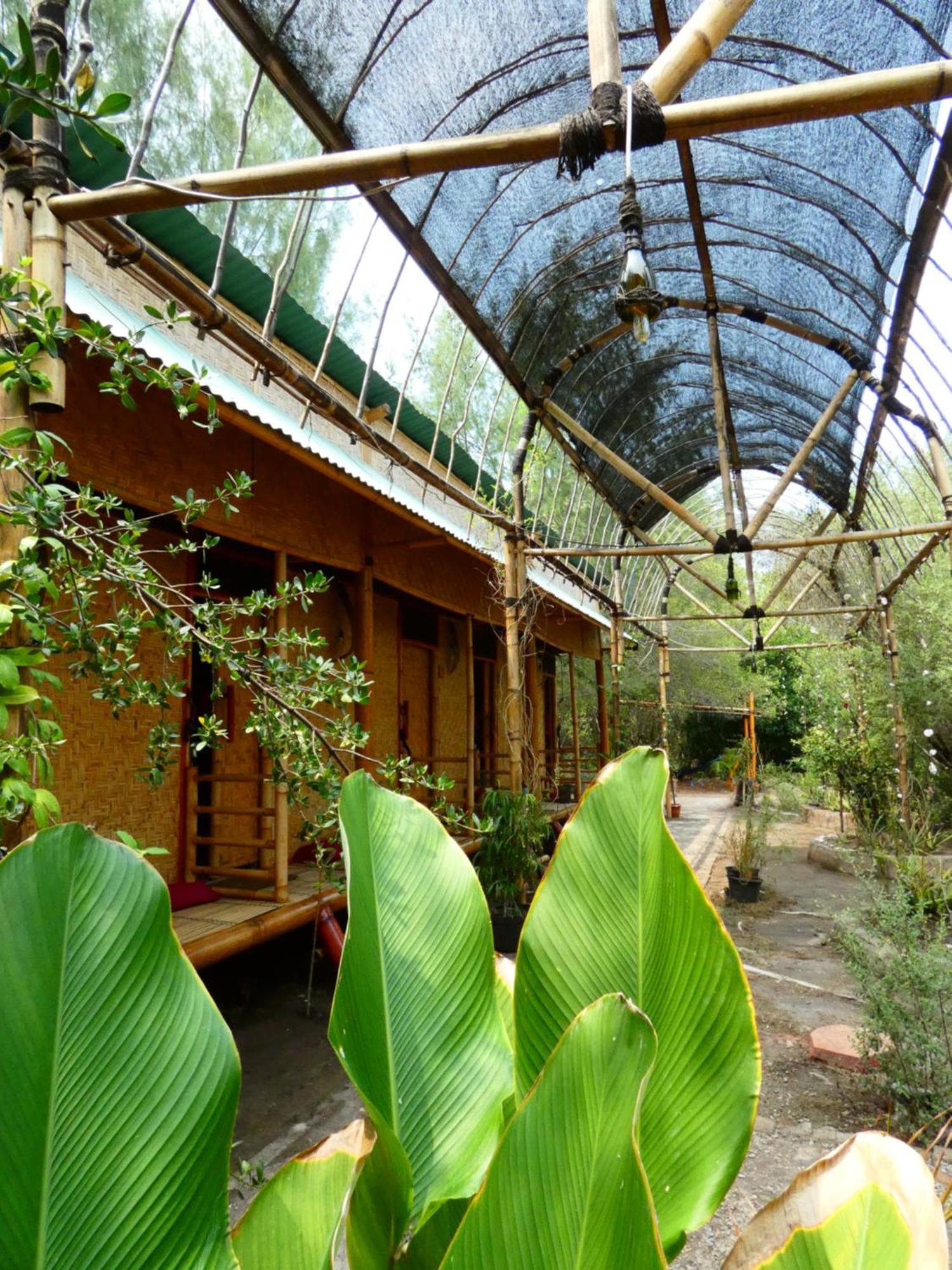 Uncle Hippie'S Dream Hostel กิลิเมโน ภายนอก รูปภาพ