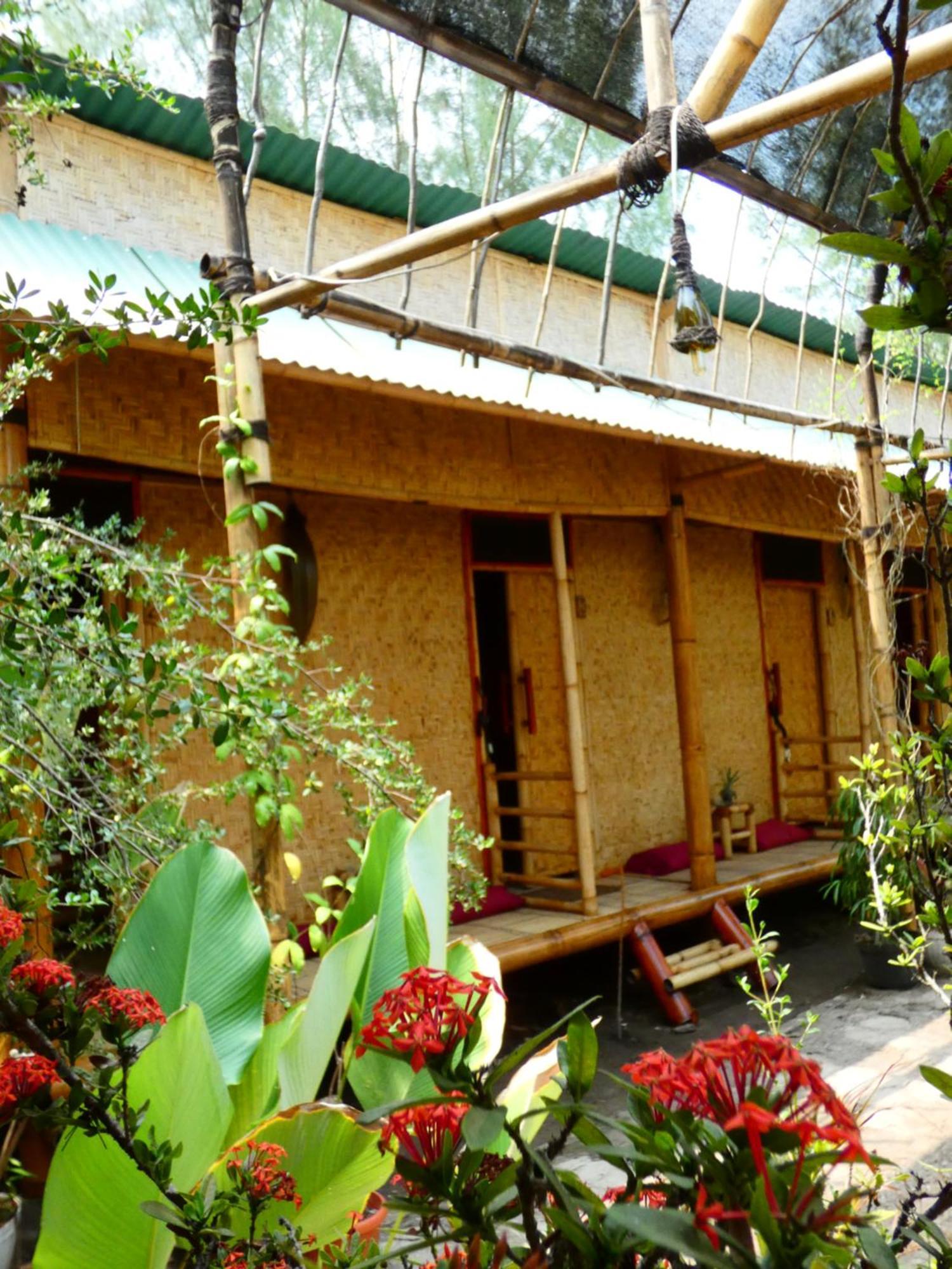 Uncle Hippie'S Dream Hostel กิลิเมโน ภายนอก รูปภาพ