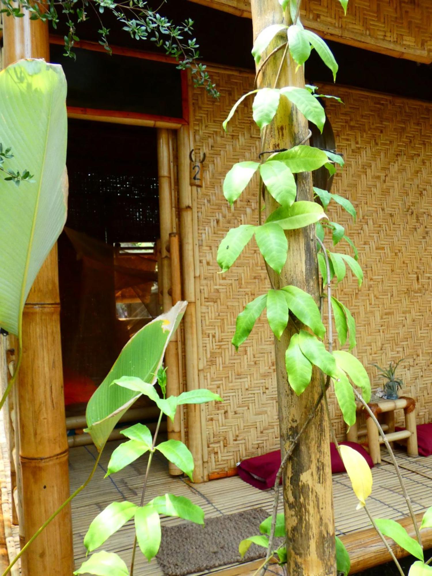 Uncle Hippie'S Dream Hostel กิลิเมโน ภายนอก รูปภาพ