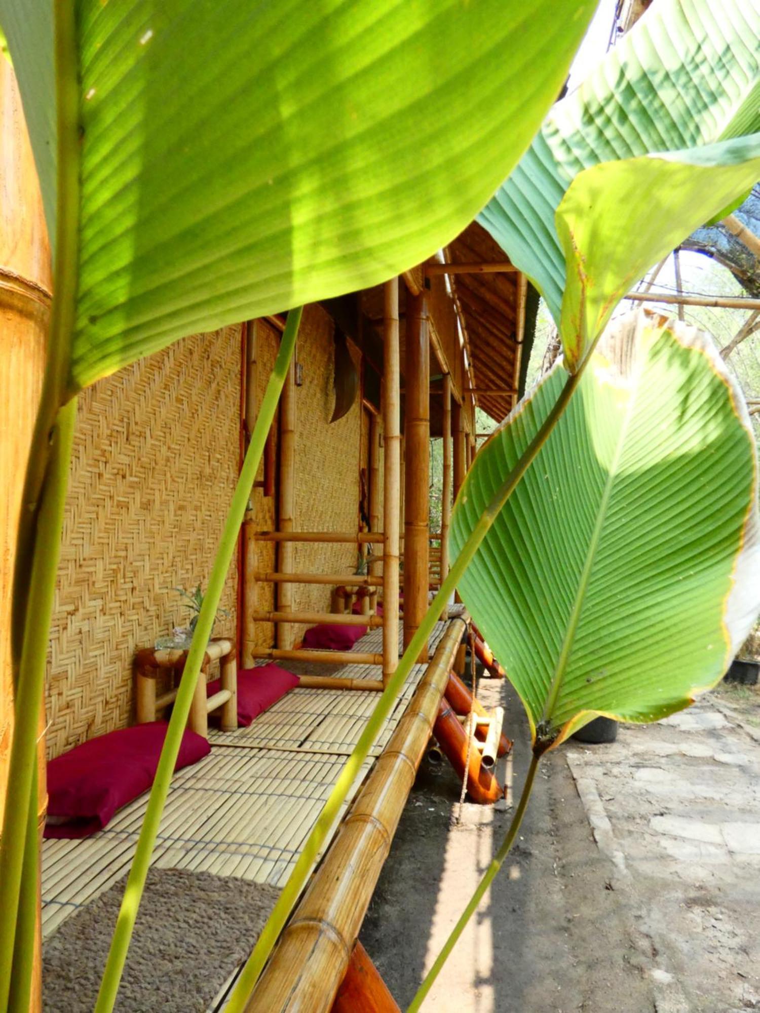 Uncle Hippie'S Dream Hostel กิลิเมโน ภายนอก รูปภาพ