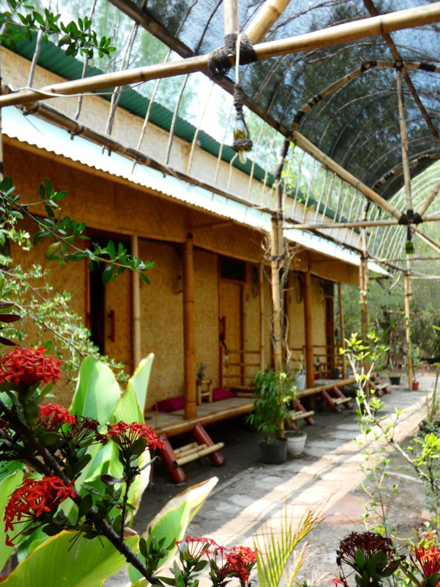 Uncle Hippie'S Dream Hostel กิลิเมโน ภายนอก รูปภาพ