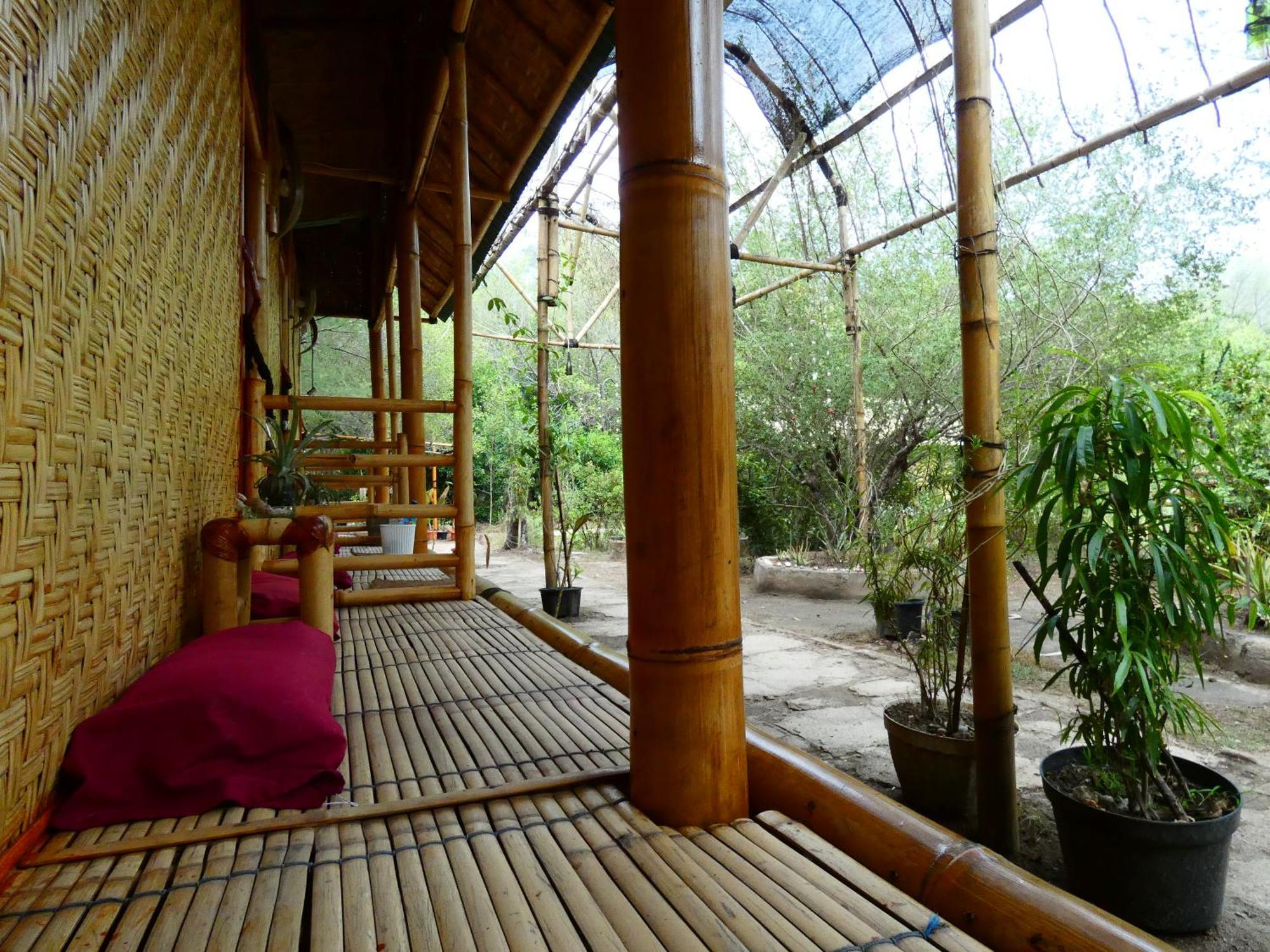 Uncle Hippie'S Dream Hostel กิลิเมโน ภายนอก รูปภาพ